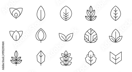 Diverse Collection of Outline Leaf Icons Representing Nature and Organic Growth on an Isolated White Background