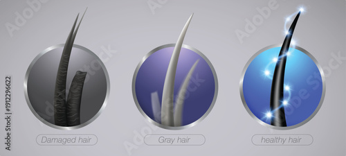 Damaged, Gray, and Healthy Hair Comparison in Circle Icons