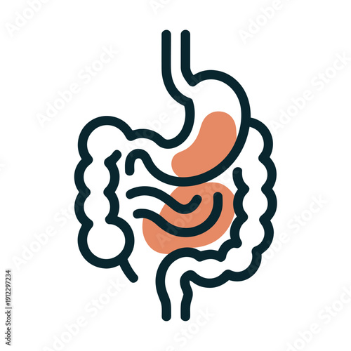 Diagram illustrates the human digestive system including stomach.