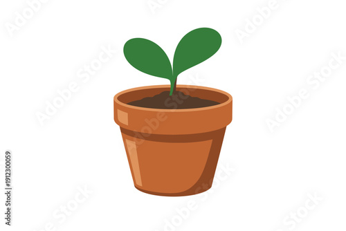 Small green seedling sprouts from dark soil within a terracotta flower pot.