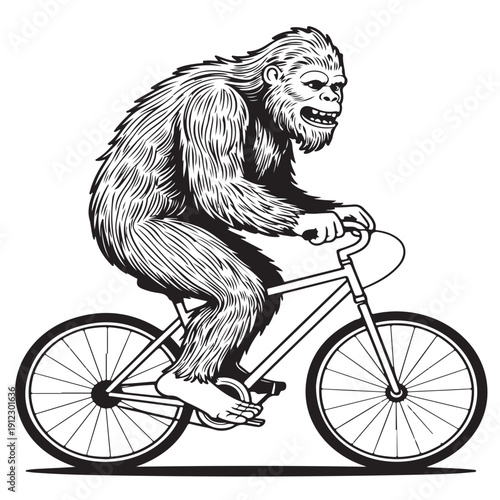 Bigfoot riding bicycle vector illustration, sasquatch on bike drawing, mythical creature pedaling black and white image, legendary ape cycler graphic
