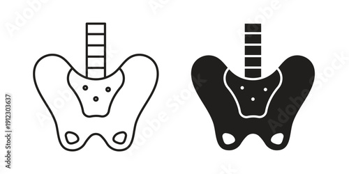 Pelvis icon. Linear icon collection. Editable stroke. Vector illustrations