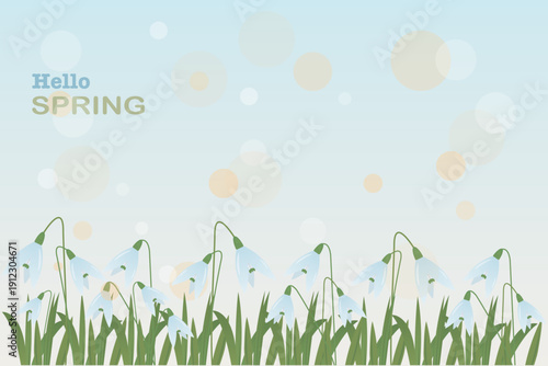 Cheerful spring illustration featuring blooming snowdrop flowers with delicate white petals and green stems. The text “Hello SPRING” appears in playful blue and bold green fonts, symbolizing renewal