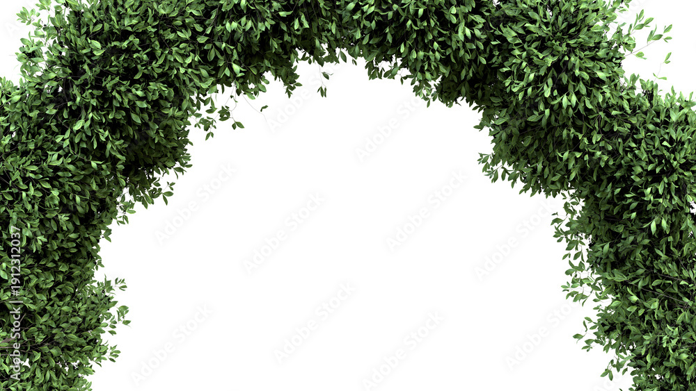 Obraz premium Elegant Green Leaf Archway for Decorative Use