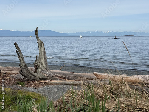 2025-04-04 - Nanaimo, Vancouver Island, British Columbia - view from Piper’s Lagoon Park