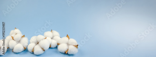 ecofriendly textile background image, natural fiber cluster on tranquil blue background, organic cotton plant parts arranged on serene blue surface illustrating ecoconscious textile ideas