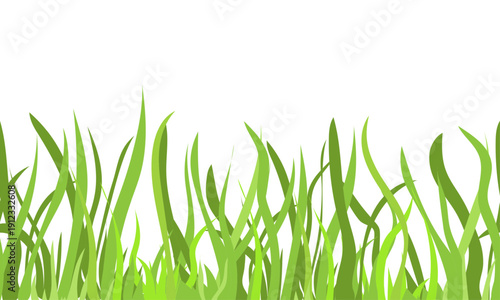 Green grass or algae, seamless border. Vector illustration. Thickets of thick spring grass, pattern isolated on white background