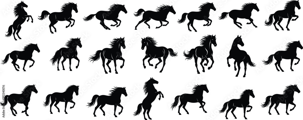 Fototapeta premium Black horse silhouette set in motion isolated on white background featuring multiple running galloping and rearing horse poses in side view vector illustration, concept of speed power freedom