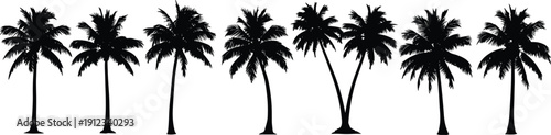 Palm tree silhouette set, tropical nature, beach vibe, summer theme, exotic landscape, curved trunks, fronds detail design - flat vector illustration