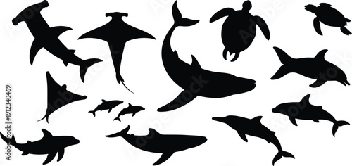 Collection of marine animal silhouettes including whale, dolphin, shark and sea turtle isolated on white background ocean wildlife vector set