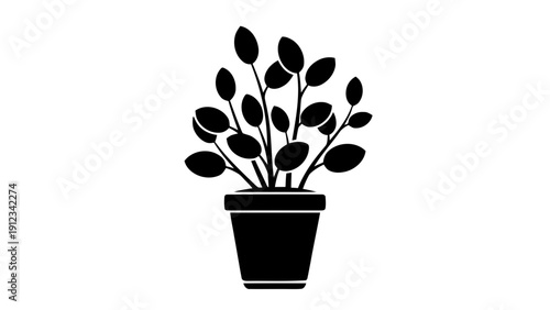 Vector illustration of black silhouette of a potted houseplant with oval leaves, simple graphic icon of a growing plant in a flowerpot, on a transparent background