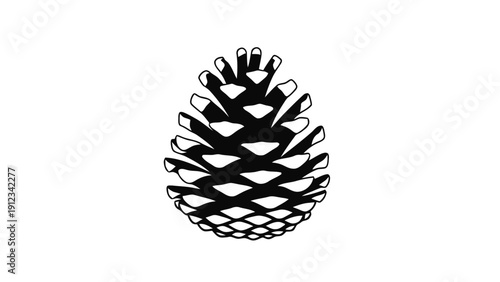 Vector illustration of black and white illustration of a pine cone, on a transparent background
