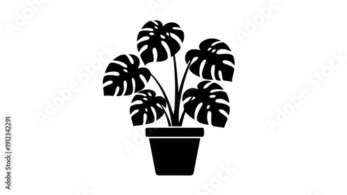 Vector illustration of monstera deliciosa houseplant in a pot icon or silhouette on a transparent background