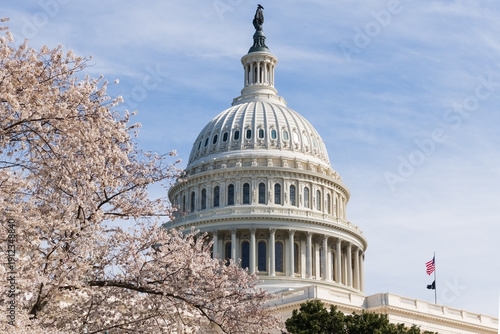 Tableau sur toile Washington, DC, USA - 22 March 2024 - The dome of the capitol building with cherry tree during the cherry blossom season