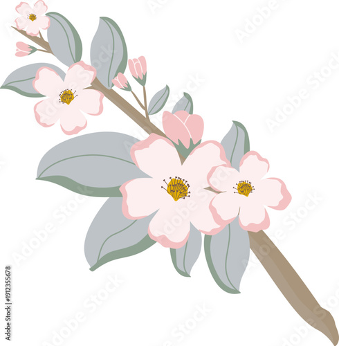 Blooming apple tree branch with modern pastel pink flowers and green leaves isolated on white background. Spring floral vector illustration