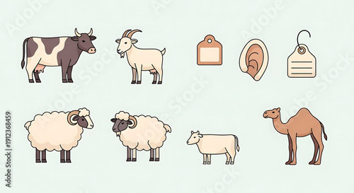 Vector graphics of farm animals cow, goat, sheep, lamb, camel. Depicts meat cut and price tags for agricultural livestock and food industry concepts