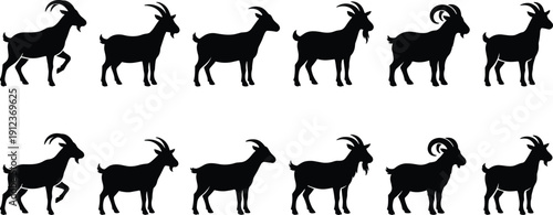 Goat silhouette vector collection showing standing and walking poses, farm animal icon set, black livestock illustrations isolated on white background