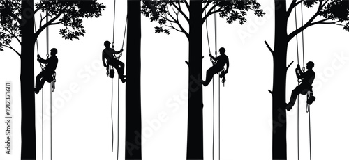 A black silhouette of several professional arborists or tree climbers using ropes and safety gear to scale tall leafy trees on a white background.