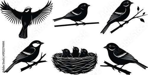 Black bird silhouette collection with flying perched birds and nest with chicks vector illustration isolated on white background