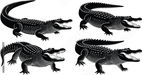 Black and white crocodile and alligator illustration set showing detailed reptile poses with open jaws for wildlife vector artwork