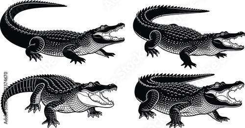 Black and white crocodile and alligator illustrations set showing detailed reptile poses with open jaws for wildlife vector design