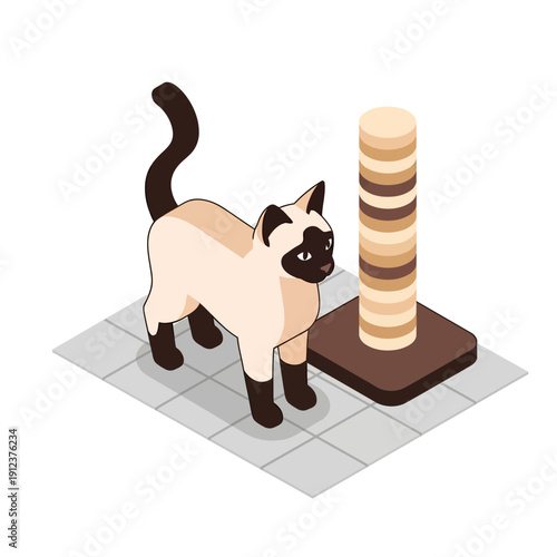 Siamese cat standing next to a scratching post.
