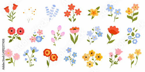 Colorful collection of illustrated wildflowers and blossoming floral arrangements