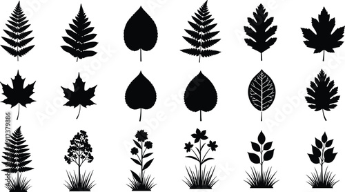 Black leaf silhouette vector set with fern fronds maple leaves botanical foliage forest plants garden flowers and meadow grass isolated on white background for nature design.