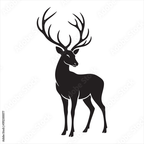 Deer standing, vector illustration. elegant stag, majestic antlers, forest animal, wildlife mammal