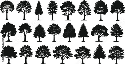 Black tree silhouettes set with various deciduous and coniferous pine oak maple and spruce tree shapes for forest landscape design and nature vector projects