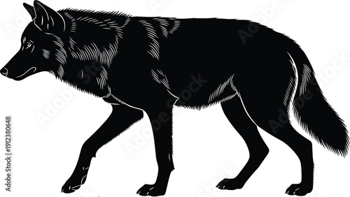Black wolf silhouette vector illustration with detailed fur texture wild forest predator animal icon isolated on white background for wildlife nature and hunting logo design.