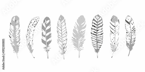 A collection of grayscale feathers arranged in a horizontal line