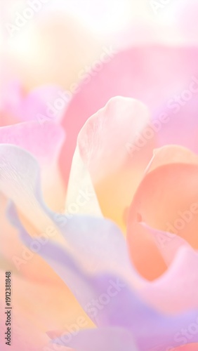 Cherry Blossom Detail. Vertical Flower Background Mobile Wallpaper