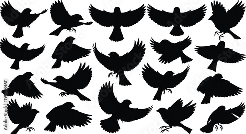 Large collection of black bird silhouettes featuring various flying poses and wing positions isolated on white background for nature wildlife and avian design.