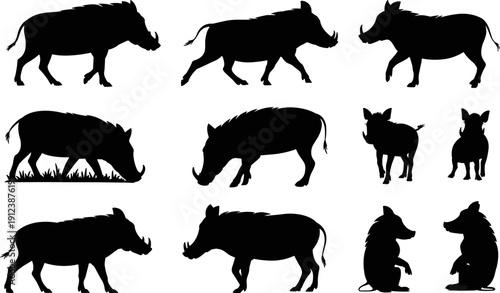 Wild Boar Silhouette Set in Different Poses, Black Warthog and Feral Pig Vector Illustration Isolated on White Background for Wildlife Design