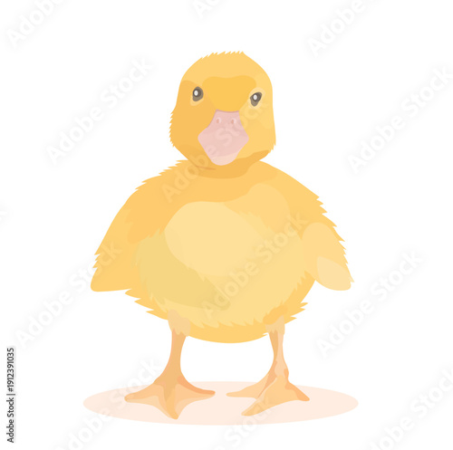 Cartoon yellow Duckling. Vector hand drawn farm bird illustration isolated on white. Cute little Duck clip art.