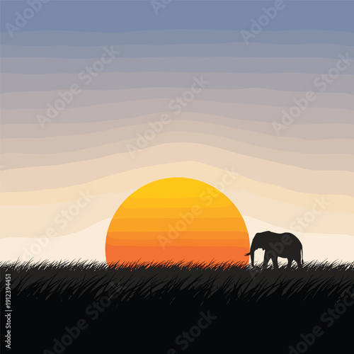 Elephant Silhouette Against Sunset.