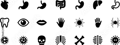 Human anatomy icon set featuring internal organs and body parts, black silhouette medical illustration for healthcare education, biology diagrams, clinical presentations, 