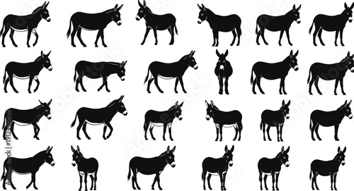 Donkey silhouette vector set, mule animal collection in multiple poses, black farm wildlife illustration isolated on white background for logo design