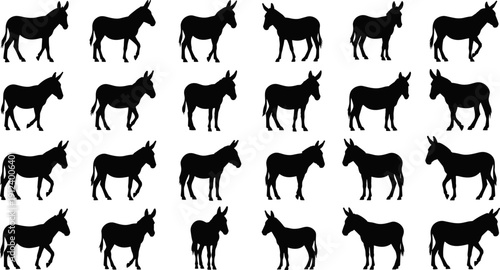 Donkey vector illustration set, black and white animal silhouettes, farm livestock poses collection, rural countryside mammal icons, minimal flat design style