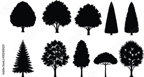 Silhouette collection of diverse tree shapes, vector illustration showing natural forms, landscape design elements, botanical outlines for creative projects