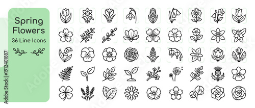 Comprehensive Set of 36 Spring Flowers and Botanical Line Icons featuring Tulip, Daffodil, Rose, Daisy, Lavender, Lily of the Valley, Cherry Blossom, Dandelion, and Clover. Modern Minimalist Vector.