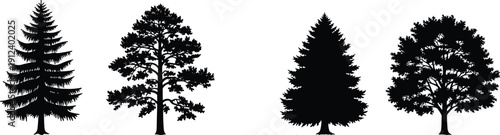 Vector silhouettes of diverse trees including evergreen and deciduous species, perfect for nature design, artwork, landscape illustration, environment, and botanical themes