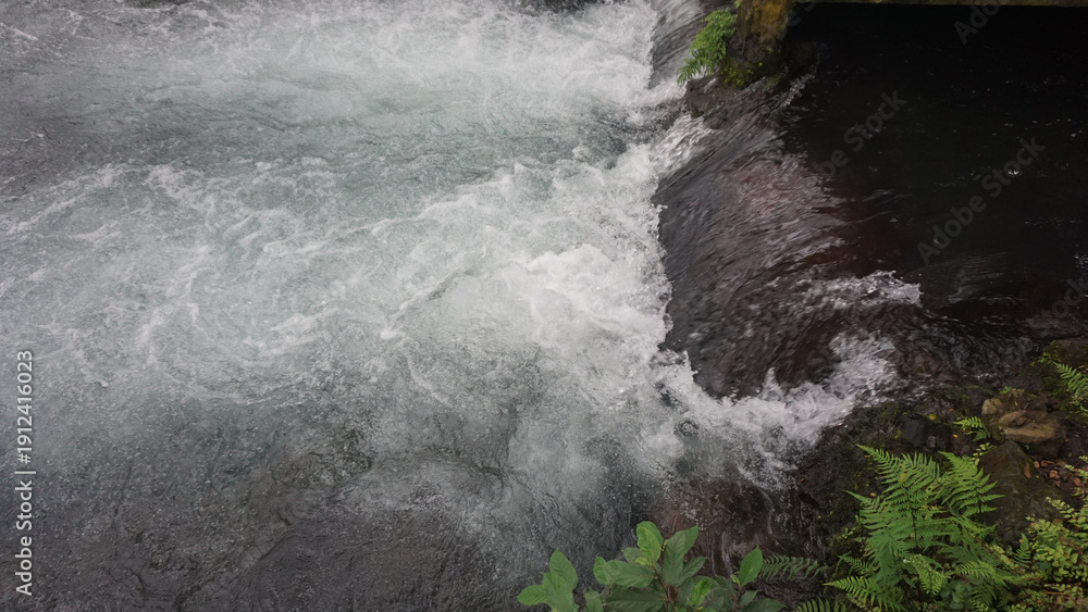 Obraz premium Small hidden waterfall surrounded by lush green moss and ferns