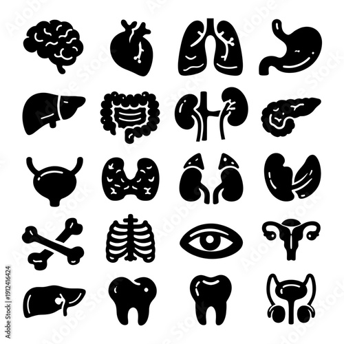 Black silhouette icon collection of various human organs including brain, liver, stomach, kidney, lungs, skeleton, and reproductive system isolated on white background