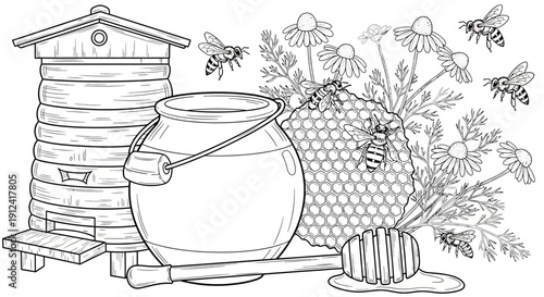 Beehive honeycomb chamomile flowers bees vector illustration design
