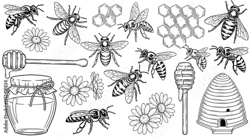 Black and white bee illustrations with honeycomb and flowers vector set
