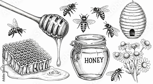 Black and white illustration of bees honey honeycomb and flowers