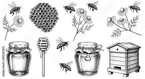 Black and white illustration of bees honeycomb flowers and honey jars