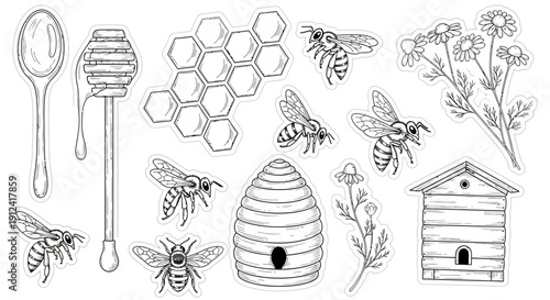 Black and white illustration of bees honeycomb and honey related objects